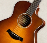 acoustic-guitars-features-electronics-es-t
