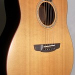 SOLD GOODALL STANDARD SITKA/INDIAN ROSEWOOD
