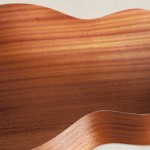 GS-mini-mahogany-detail2-taylor-guitars-large