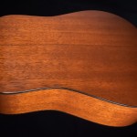dsc_0044gal