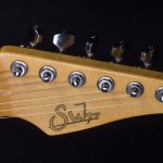 dsc_0354gal