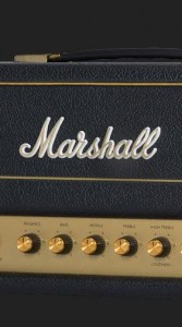 MARSHALL SV 20 HEAD