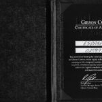 GIBSON-335-CUSTFATNECK-2008-COA