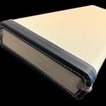 CASE-C.SHOP-LTD-BLONDE-GAL1_clipped_rev_1