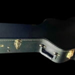 CASE-GRETSCH-16-GAL4_clipped_rev_1