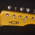 DSC_0034gal